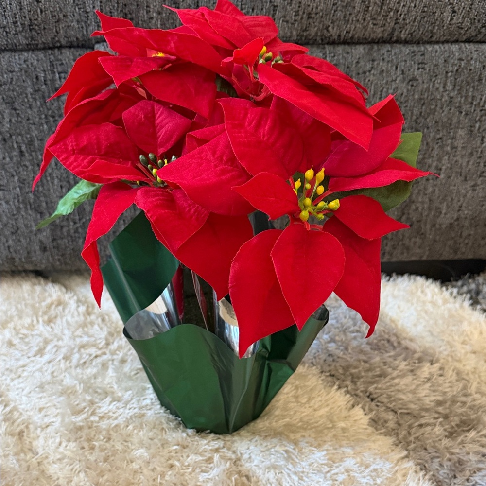Holiday Poinsettia
